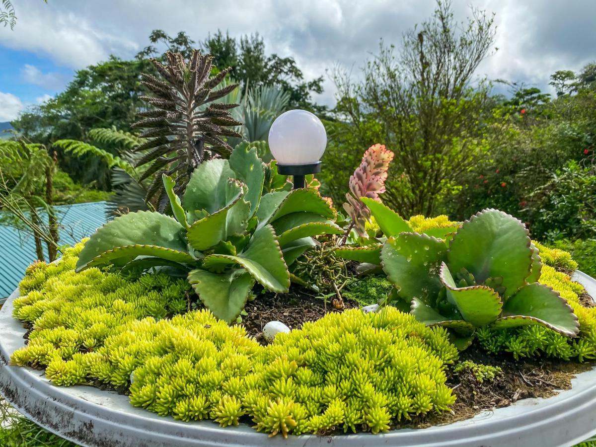 Retiro Del Lago Arenal Lodge El Castillo Ngoại thất bức ảnh